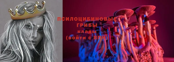 МДПВ Абинск