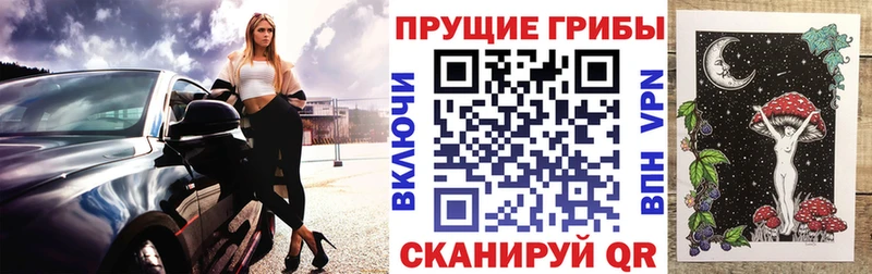 купить   Туринск  Галлюциногенные грибы MAGIC MUSHROOMS 